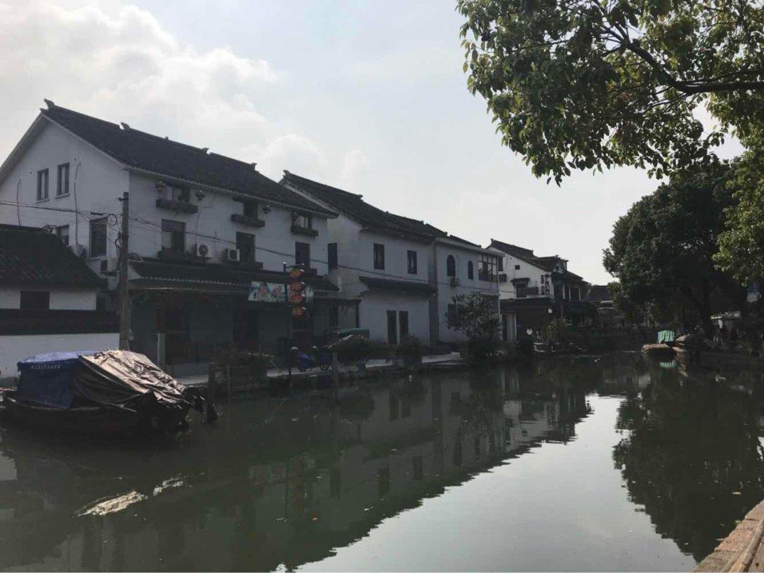 救援受困的长颈鹿